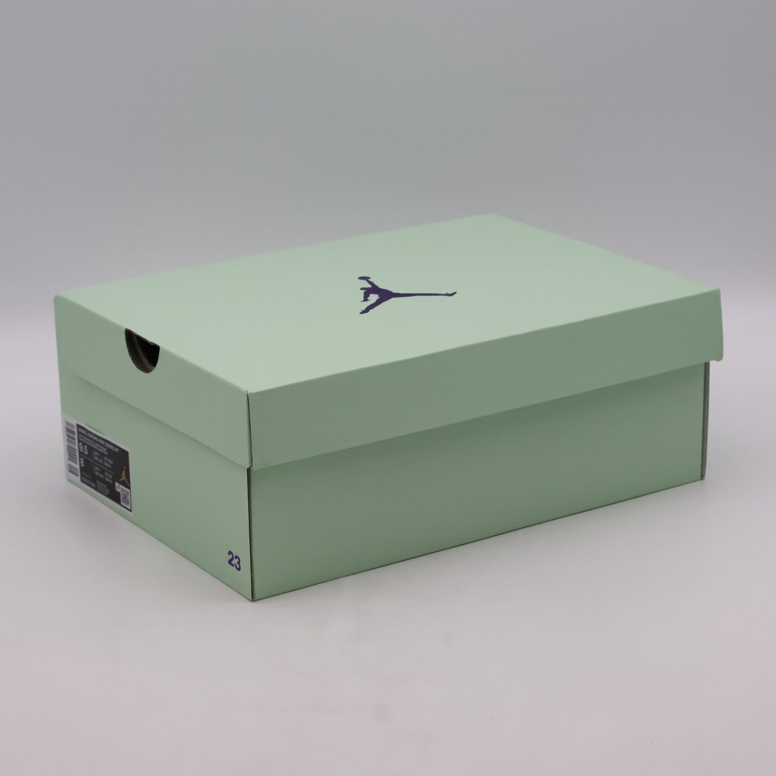 FZ2473-601 Nike  Jordan Heir Series Be Seen (Women's)