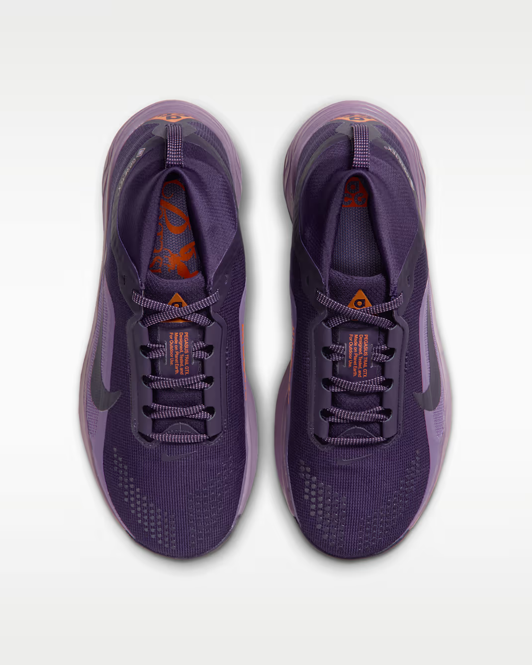 IQ1394-500 Nike ACG Pegasus Trail GORE-TEX Purple Dynasty/Violet Dust (Women's)