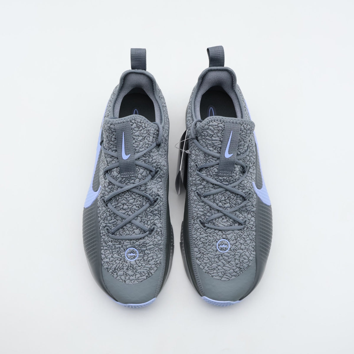 FJ6151-008 Nike LeBron TR1 Cool Grey Aluminum (Men's)