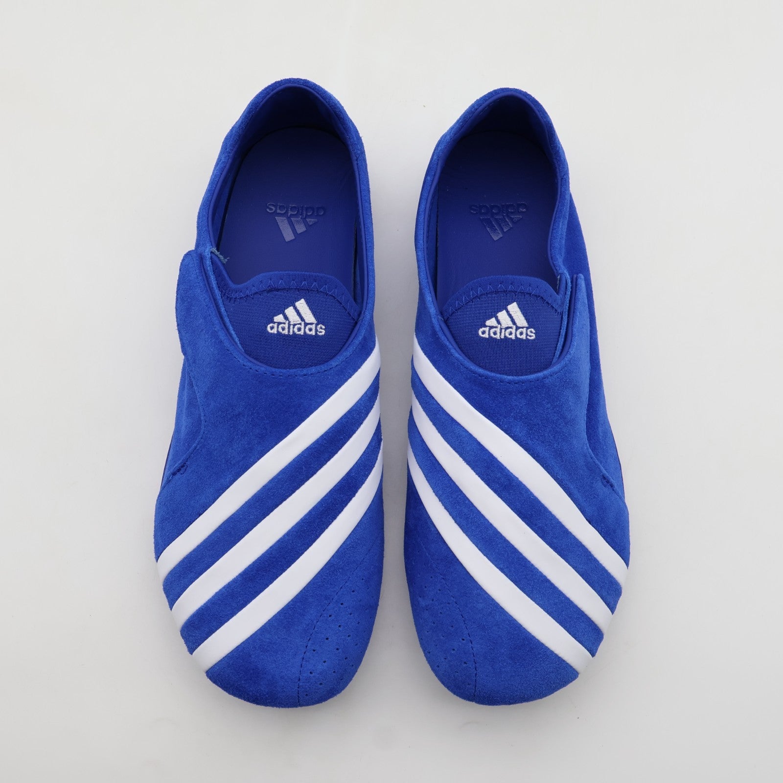 KJ9380 Pharrell Williams Ã adidas Vario Flat Earther "Blue" (Men's)