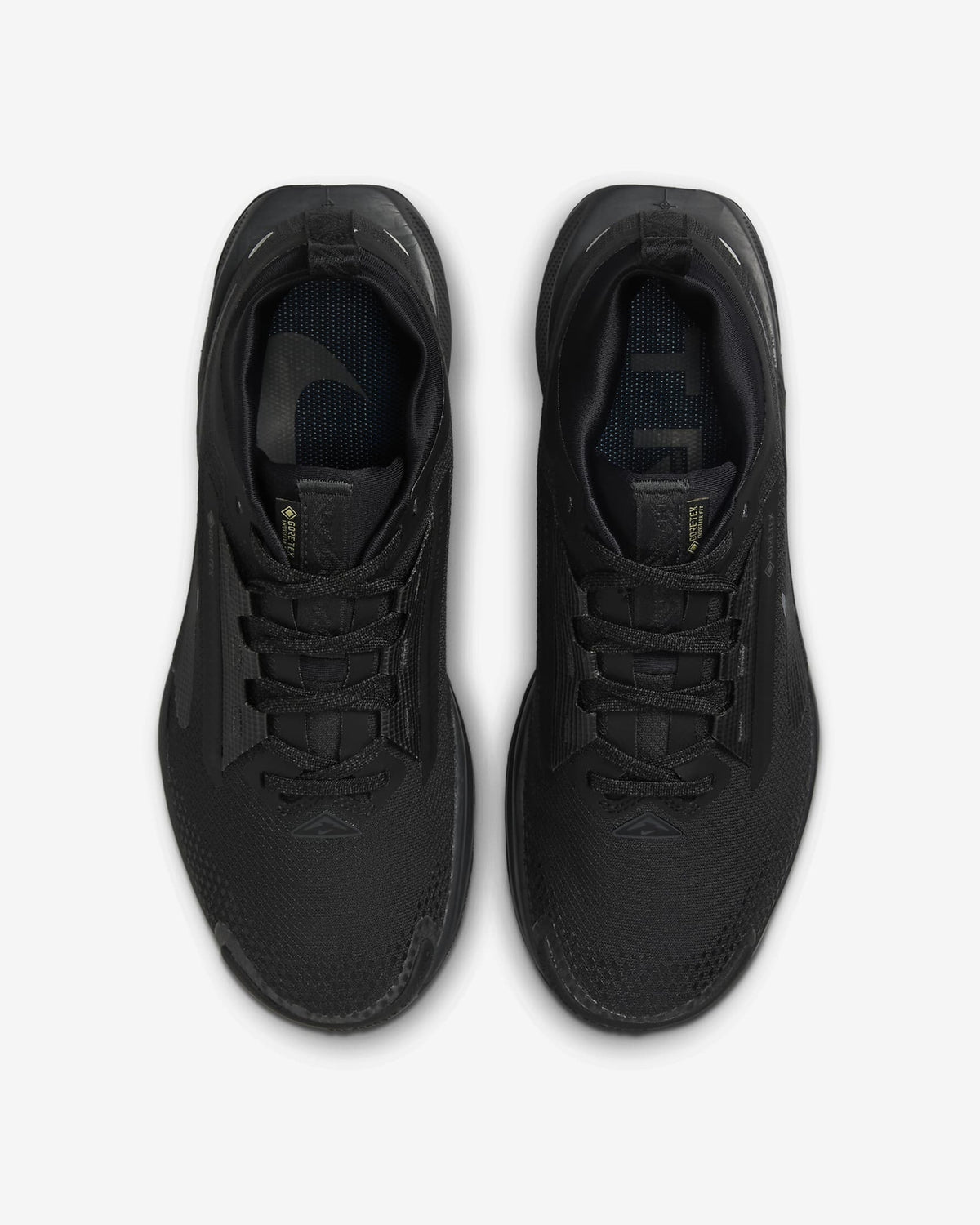 FQ0912-002 Nike Pegasus Trail 5 GORE-TEX Black Anthracite (Women's)