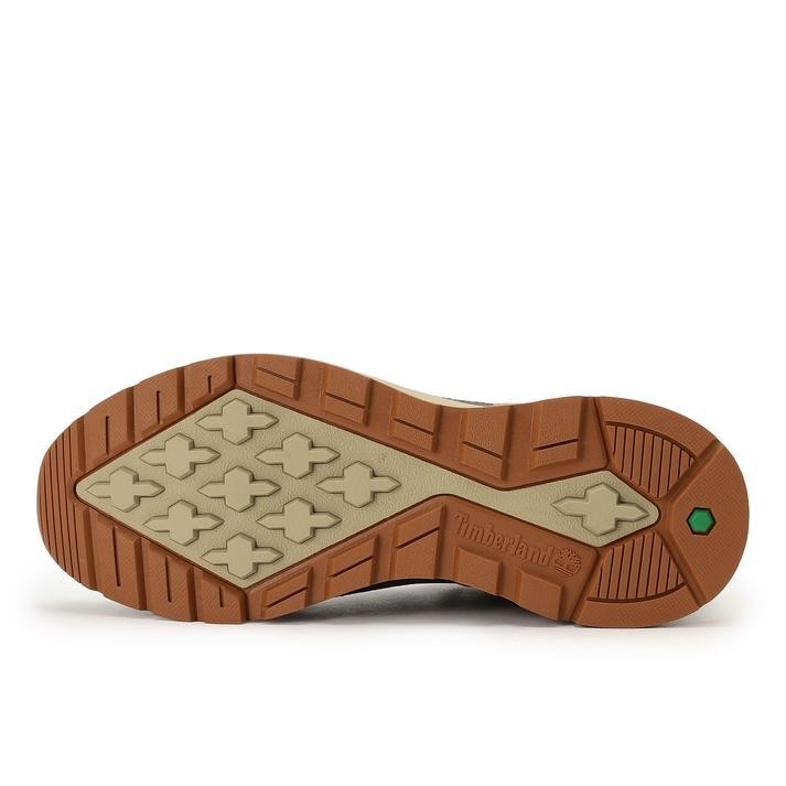 A6DKN-A9O Timberland Field Trekker (Men's)