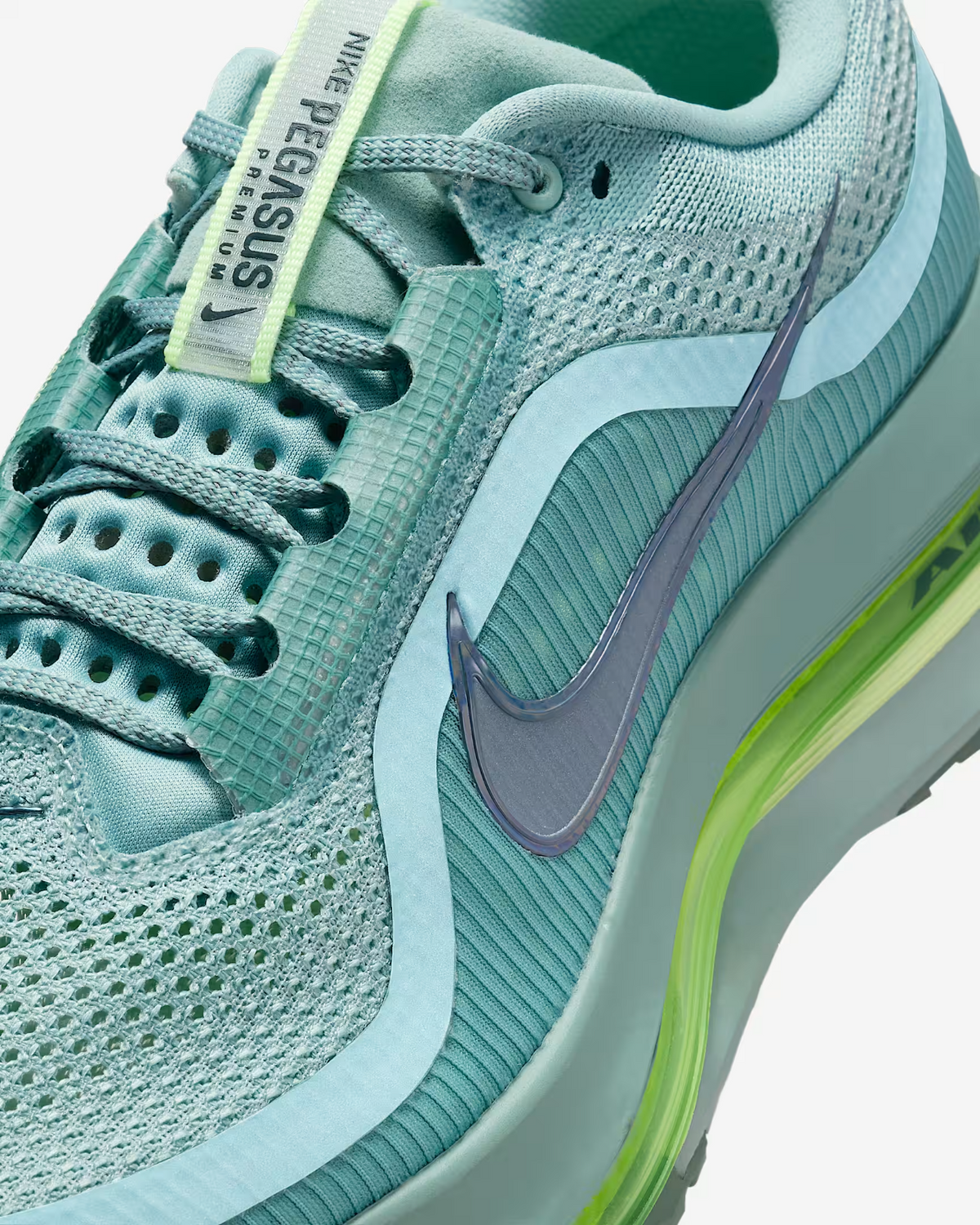 HQ2592-009 Nike Pegasus Premium Cannon (Men's)