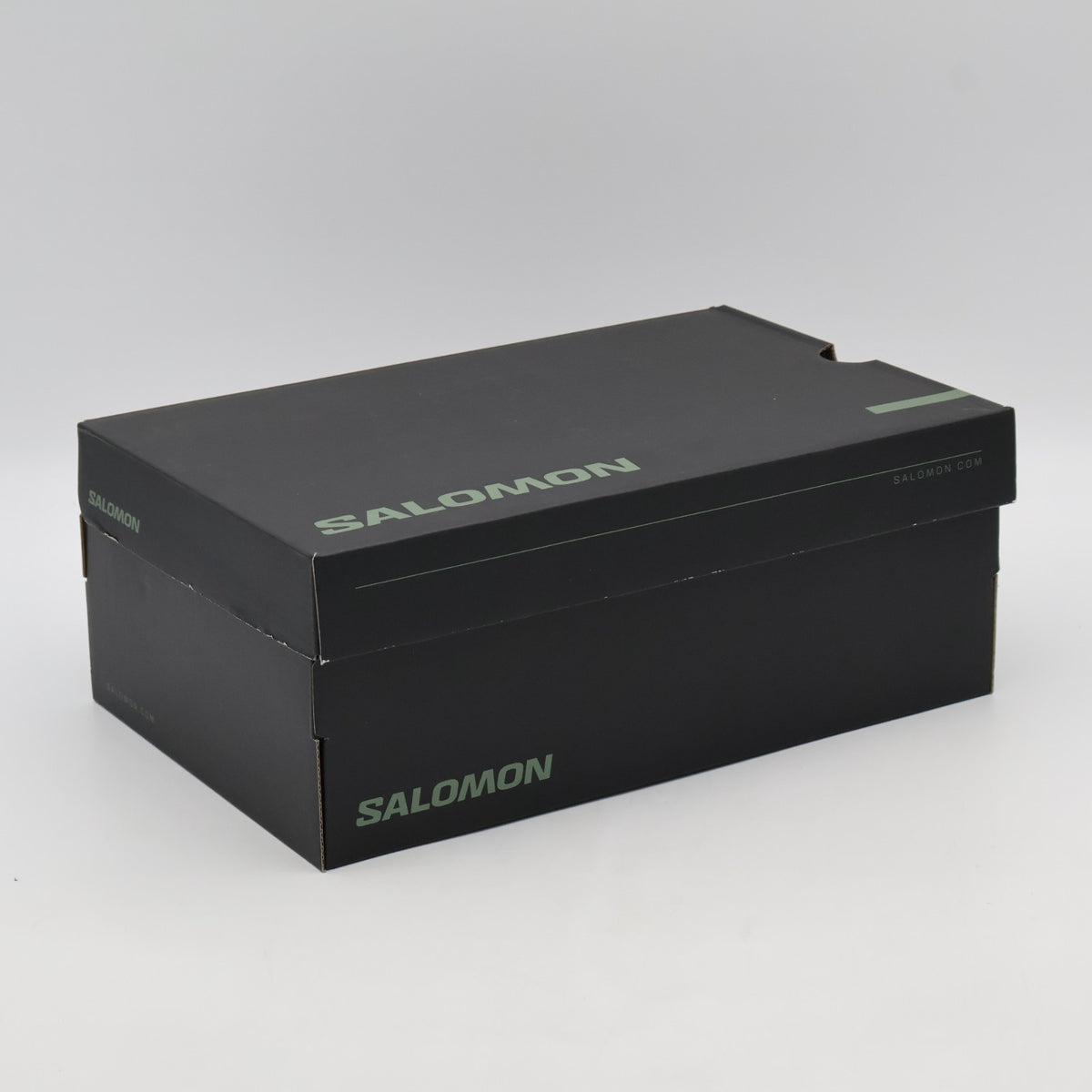 L49165500 Carhartt WIP Salomon ALP Black (Men's)