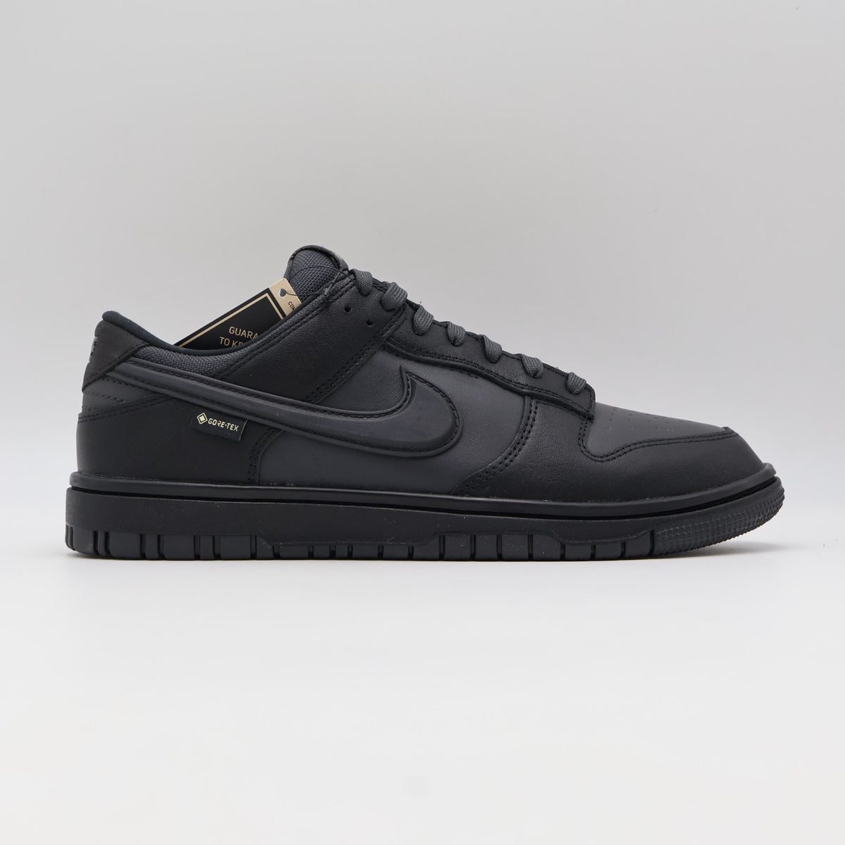 HQ2053-001 Nike Dunk Low GORE-TEX Triple Black (Men's)