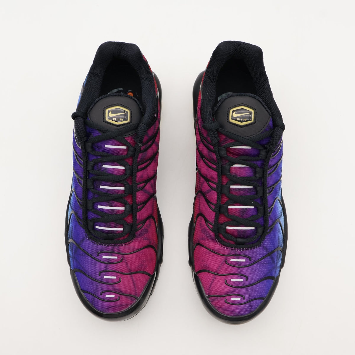 FV0393-001 Nike Air Max Plus 25th Anniversary (Men's)