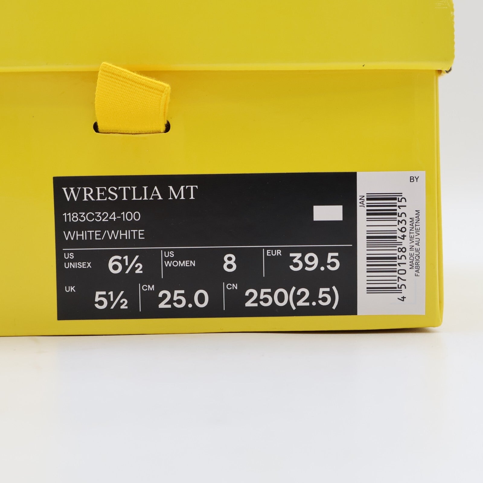 1183C324-100 Onitsuka Tiger Wrestlia MT White (Men's)
