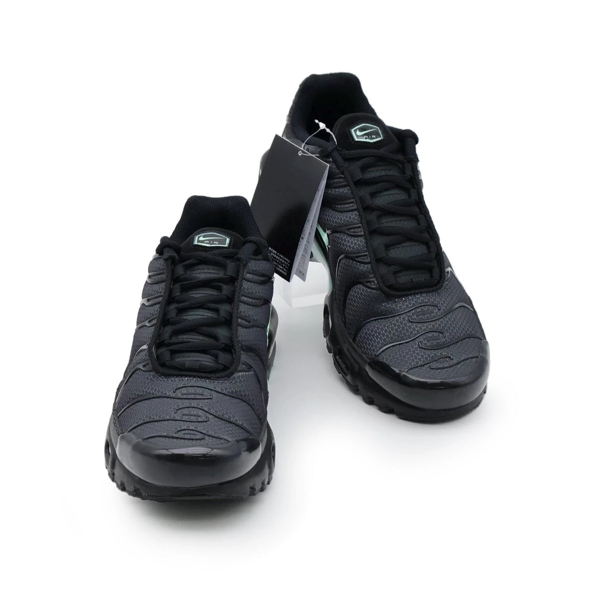 DM0032-029 Nike Air Max Plus Black Mint (Men's)