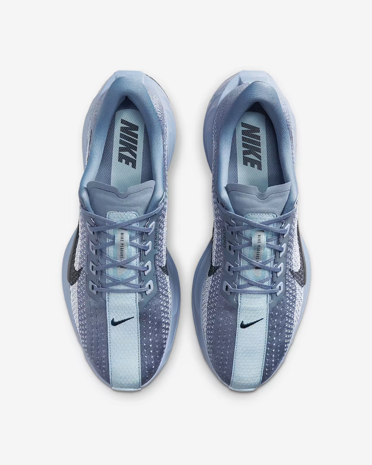 FQ7262-402 Nike Pegasus Plus Ashen Slate White Pure Platinum Anthracite (Men's)