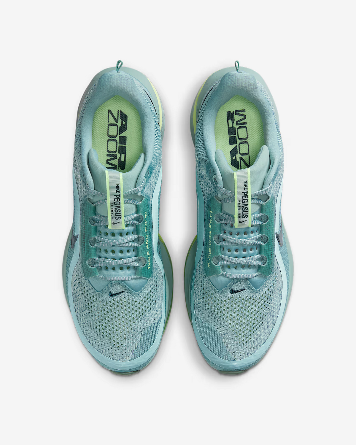 HQ2592-009 Nike Pegasus Premium Cannon (Men's)
