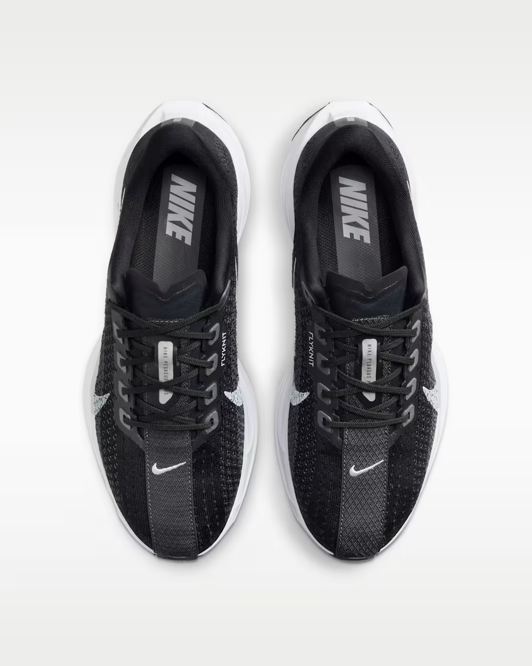 FQ7261-002 Nike Pegasus Plus Black Anthracite White Pure Platinum (Women's)