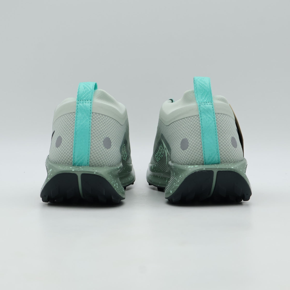 FQ0908-013 Nike Pegasus Trail 5 GORE-TEX Light Silver Clay Green Mint Foam (Men'