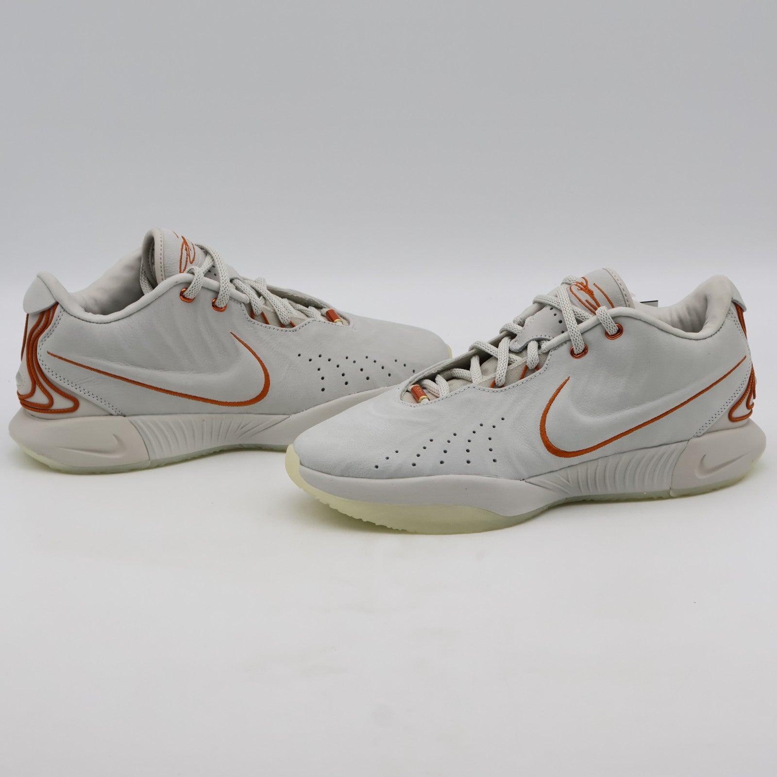 FV2345-001 Nike LeBron 21 Akoya (Men's)