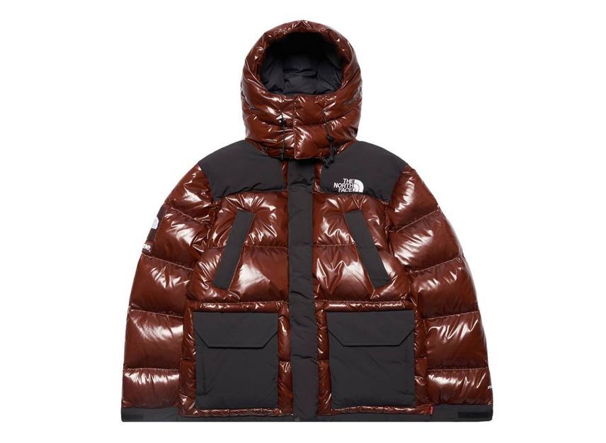 Supreme The North Face 700-Fill Down Parka Brown