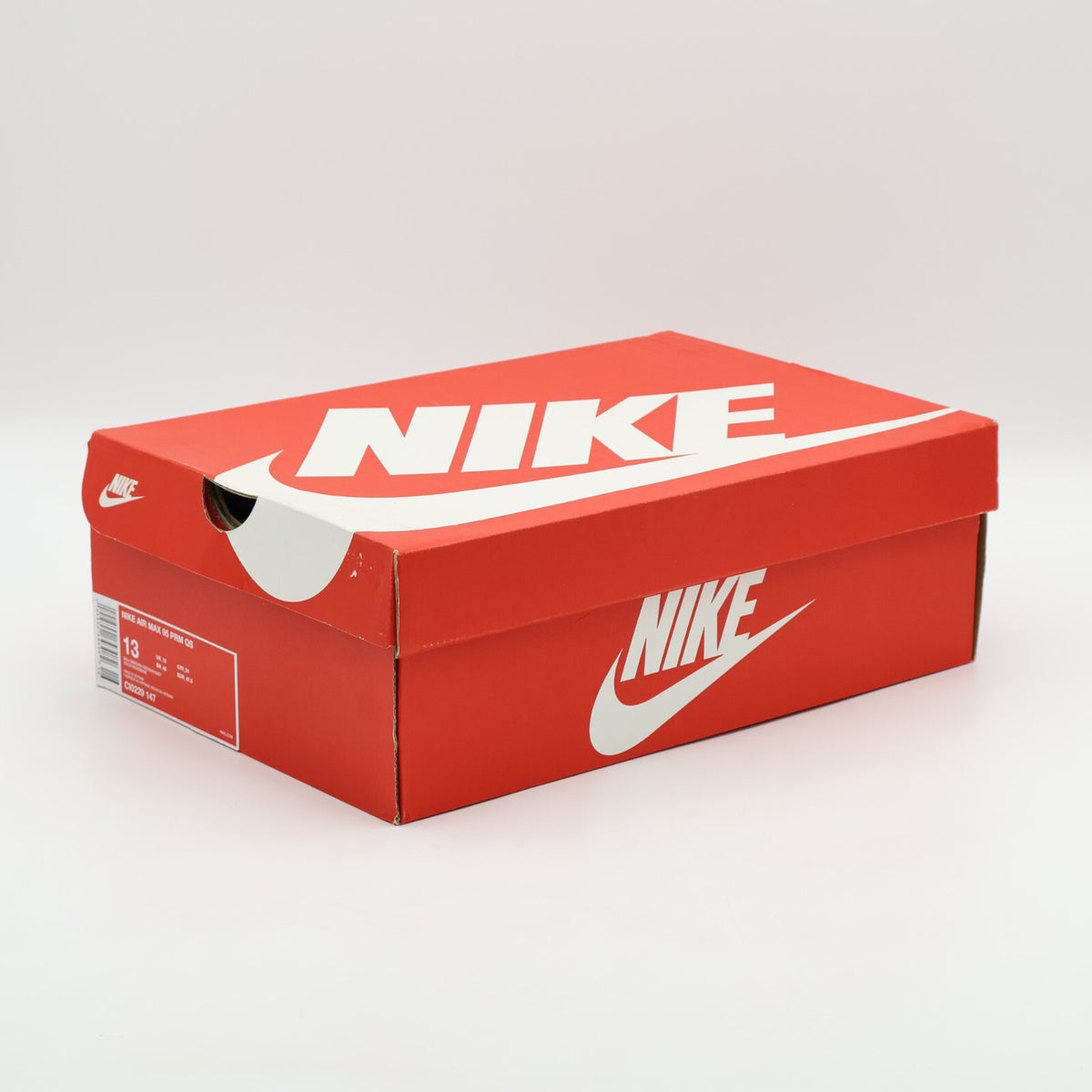 CI0229-147 Nike Air Max 95 Just Do It Mt. Fuji (Men's)