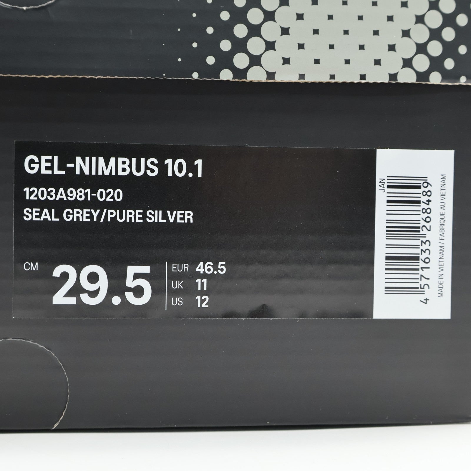 1203A981-020 INVINCIBLE Asics Gel-Nimbus 10.1 404 RGB (Men's)