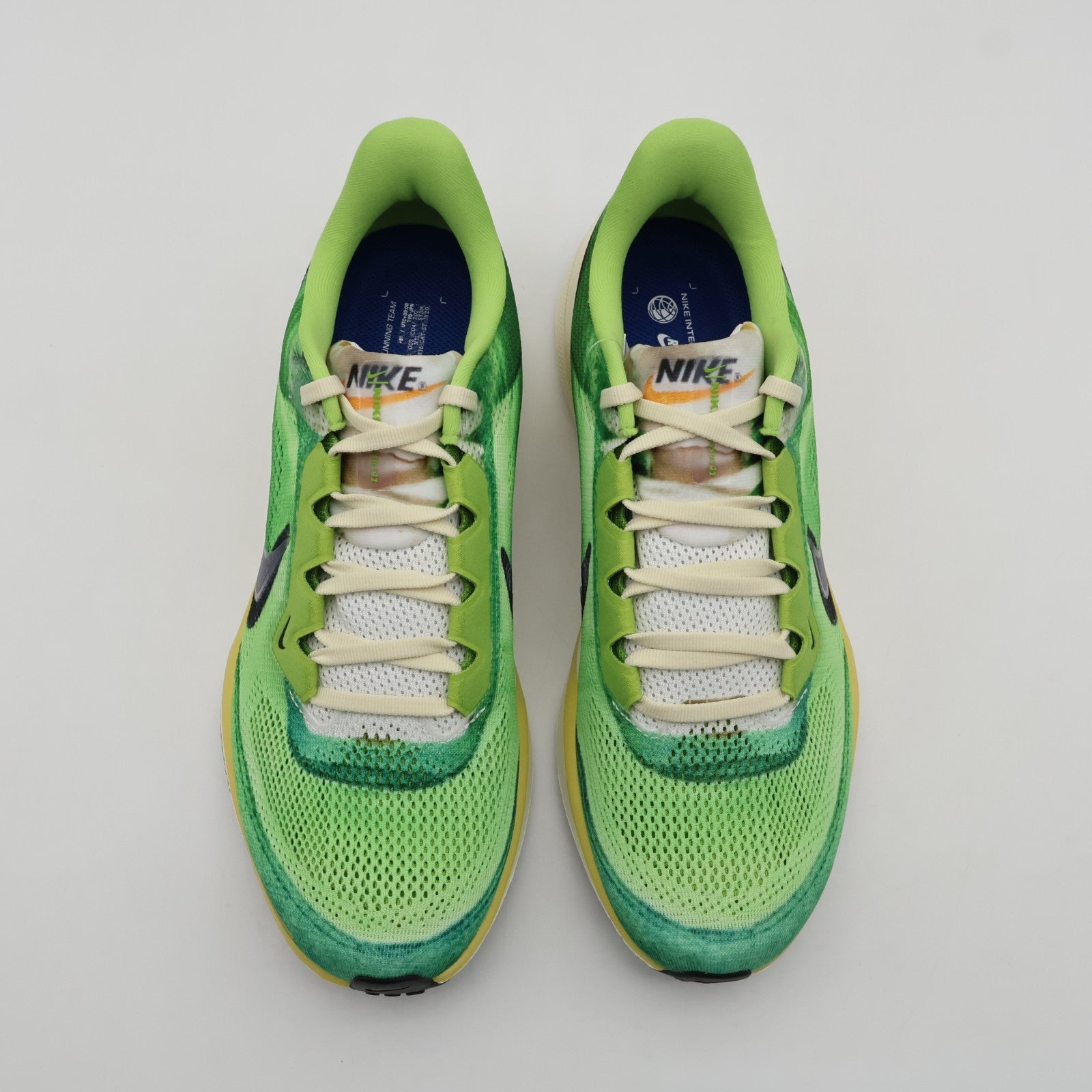 IH3583-999 Nike Pegasus 41 Multi-Color Vivid Green Dark Apple Clear (Men's)