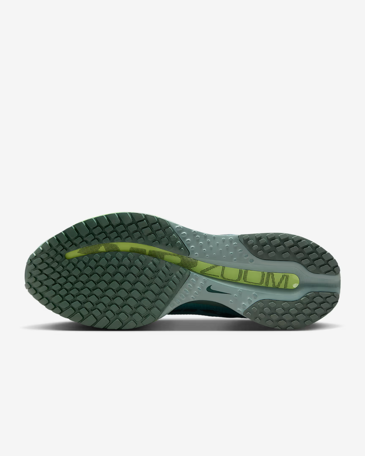 HQ2592-009 Nike Pegasus Premium Cannon (Men's)