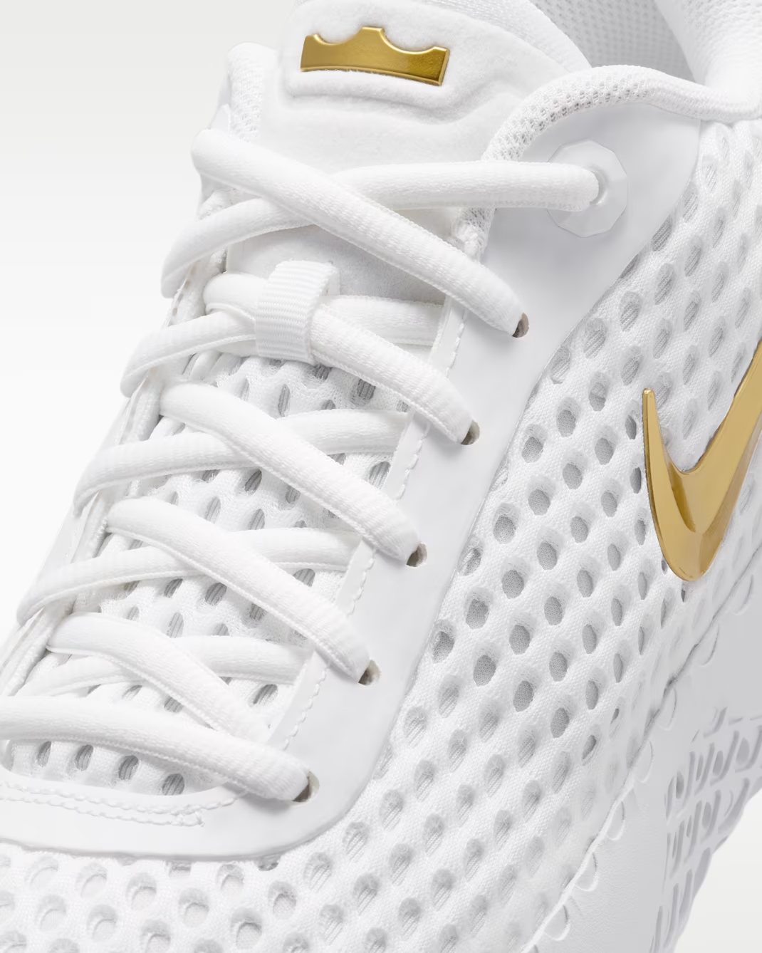 IQ9845-100 Nike LeBron Witness X EP "White/Photon Dust" (Men's)