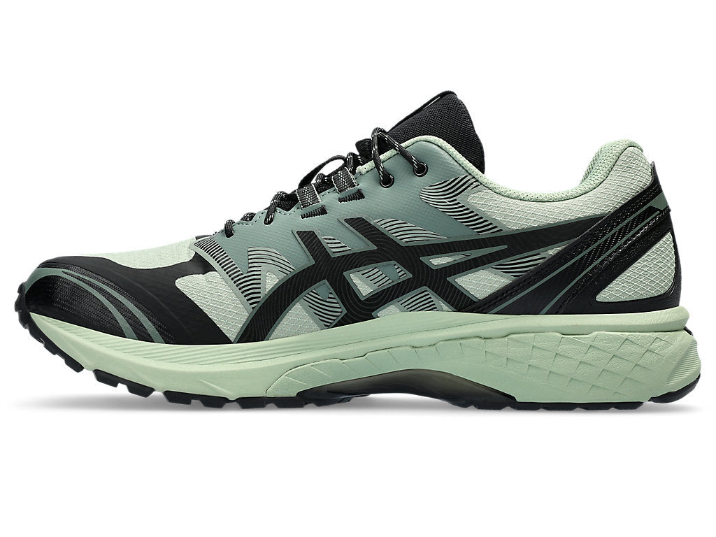 1203A342-300 Asics Gel-Terrain Dark Jade Black (Men's)